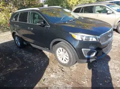 5XYPGDA56GG150260 2016 KIA SORENTO