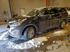 5XYPGDA56GG175174 2016 KIA SORENTO