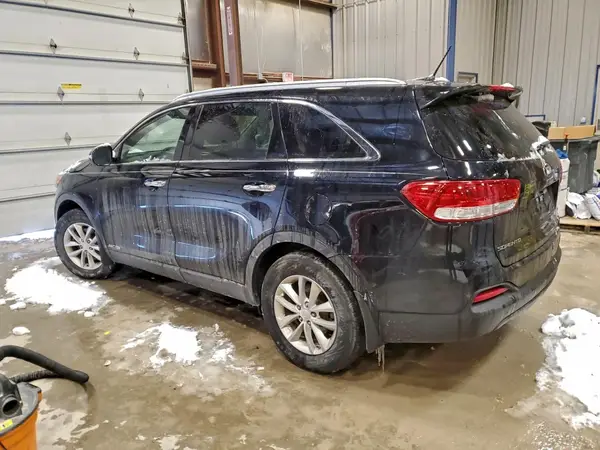 5XYPGDA56GG175174 2016 KIA SORENTO - Image 2