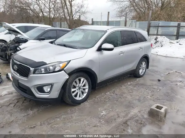 5XYPGDA56GG185655 2016 KIA SORENTO - Image 2