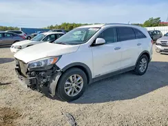 5XYPGDA56HG194843 2017 KIA SORENTO