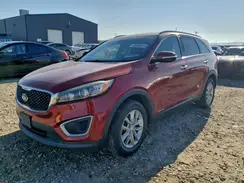 5XYPGDA56HG208143 2017 KIA SORENTO