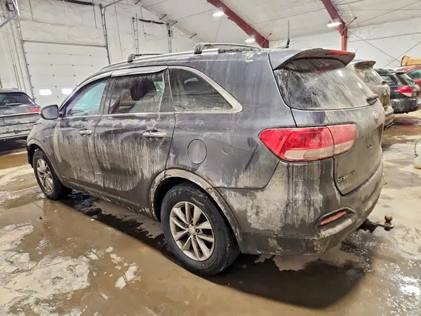 5XYPGDA56HG223709 2017 KIA SORENTO - Image 2