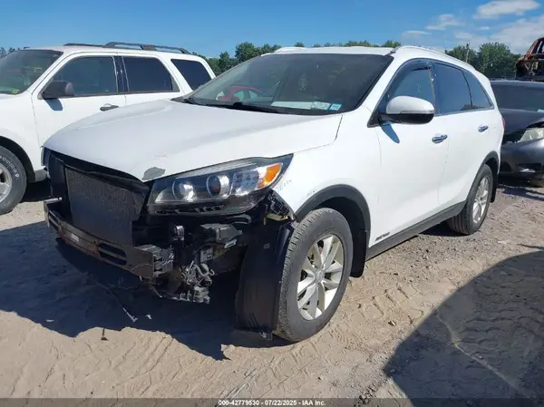 5XYPGDA56HG250246 2017 KIA SORENTO - Image 2