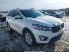 5XYPGDA56HG305505 2017 KIA SORENTO