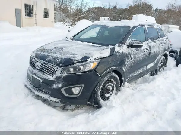 5XYPGDA57GG182263 2016 KIA SORENTO - Image 2