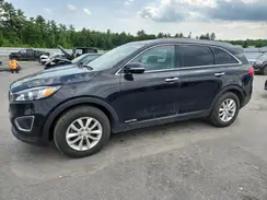 5XYPGDA57HG197640 2017 KIA SORENTO