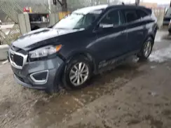 5XYPGDA57HG242186 2017 KIA SORENTO