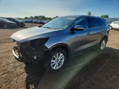 5XYPGDA57KG492177 2019 KIA SORENTO