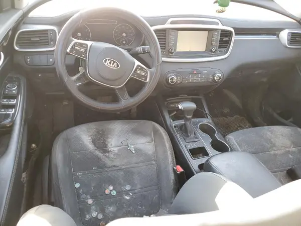 5XYPGDA57LG617891 2020 KIA SORENTO - Image 8