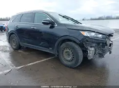 5XYPGDA57LG653872 2020 KIA SORENTO