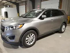 5XYPGDA58GG173149 2016 KIA SORENTO
