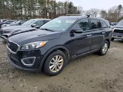 5XYPGDA58HG234078 2017 KIA SORENTO