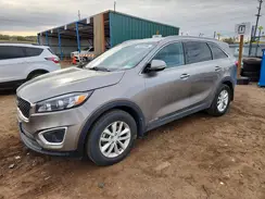5XYPGDA58HG313167 2017 KIA SORENTO