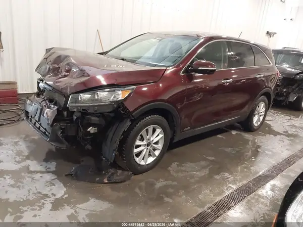 5XYPGDA58KG481298 2019 KIA SORENTO - Image 2