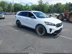 5XYPGDA58LG678392 2020 KIA SORENTO