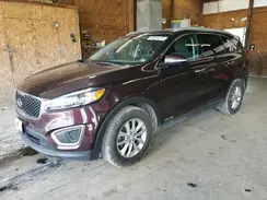 5XYPGDA59GG059595 2016 KIA SORENTO