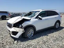 5XYPGDA59GG121206 2016 KIA SORENTO
