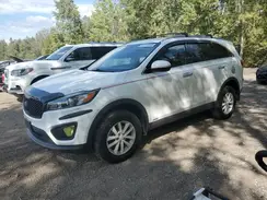 5XYPGDA59GG161169 2016 KIA SORENTO