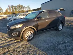 5XYPGDA59HG330107 2017 KIA SORENTO