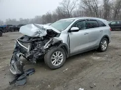 5XYPGDA59KG544134 2019 KIA SORENTO