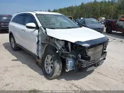 5XYPGDA59LG616810 2020 KIA SORENTO