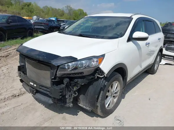 5XYPGDA59LG616810 2020 KIA SORENTO - Image 2