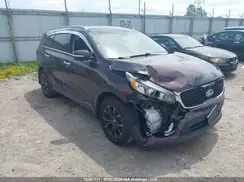 5XYPGDA5XGG027013 2016 KIA SORENTO