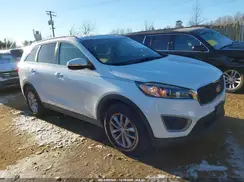 5XYPGDA5XGG143845 2016 KIA SORENTO