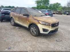 5XYPGDA5XHG207884 2017 KIA SORENTO