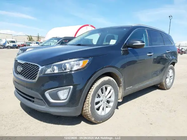 5XYPGDA5XHG209196 2017 KIA SORENTO - Image 2