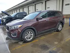 5XYPGDA5XHG229867 2017 KIA SORENTO