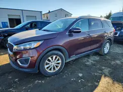 5XYPGDA5XHG240299 2017 KIA SORENTO
