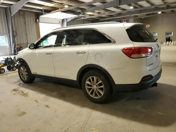5XYPGDA5XHG291883 2017 KIA SORENTO - Image 2