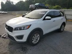 5XYPGDA5XHG313834 2017 KIA SORENTO