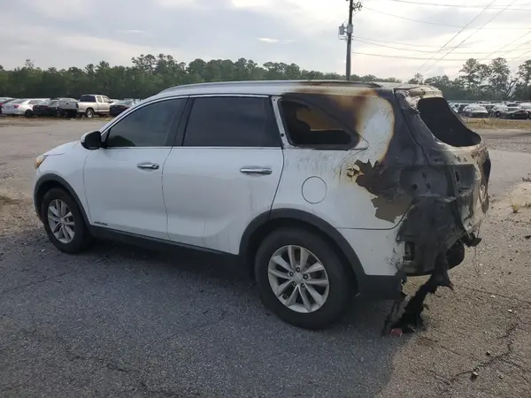 5XYPGDA5XHG313834 2017 KIA SORENTO - Image 2