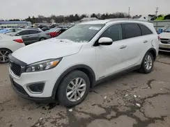 5XYPGDA5XHG317432 2017 KIA SORENTO