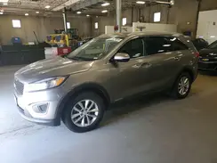 5XYPGDA5XJG341896 2018 KIA SORENTO