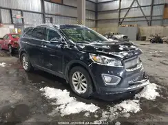 5XYPGDA5XJG399202 2018 KIA SORENTO