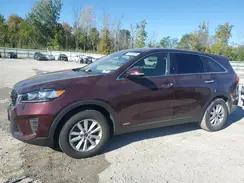 5XYPGDA5XKG501664 2019 KIA SORENTO