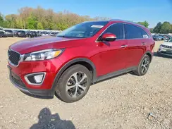 5XYPH4A11HG254344 2017 KIA SORENTO