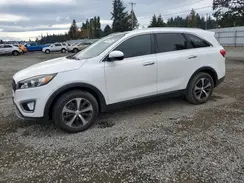 5XYPH4A12HG295663 2017 KIA SORENTO