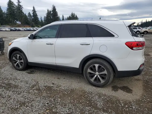 5XYPH4A12HG295663 2017 KIA SORENTO - Image 2