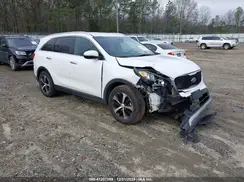 5XYPH4A13HG294599 2017 KIA SORENTO