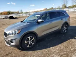 5XYPH4A14GG042794 2016 KIA SORENTO