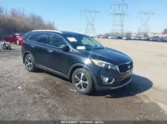 5XYPH4A14HG273647 2017 KIA SORENTO