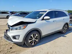 5XYPH4A15HG296323 2017 KIA SORENTO