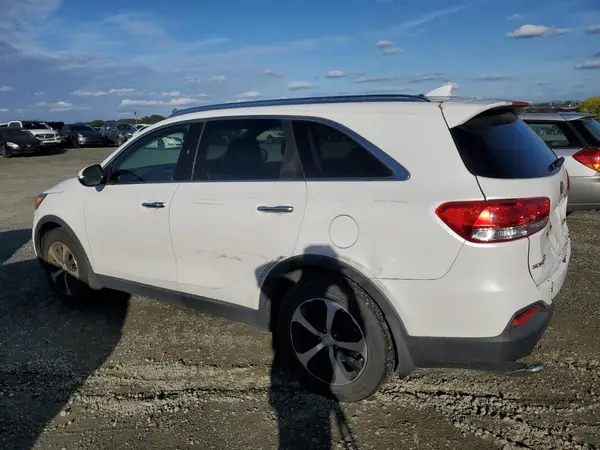 5XYPH4A18GG125323 2016 KIA SORENTO - Image 2