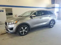 5XYPH4A50GG142832 2016 KIA SORENTO