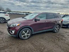 5XYPH4A50HG283725 2017 KIA SORENTO